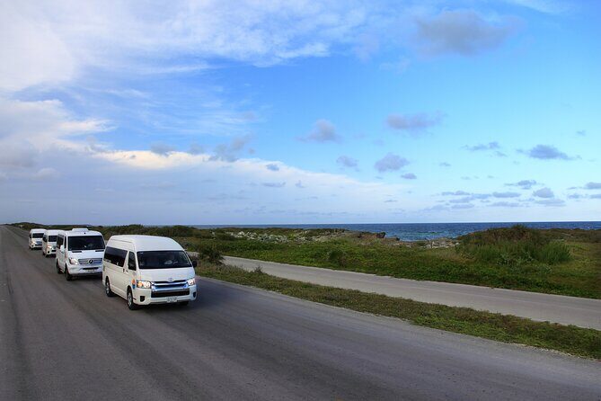 Cozumel Private Shuttle For Groups to Top Beach Clubs - Beach Clubs: What This Shuttle Really Enables