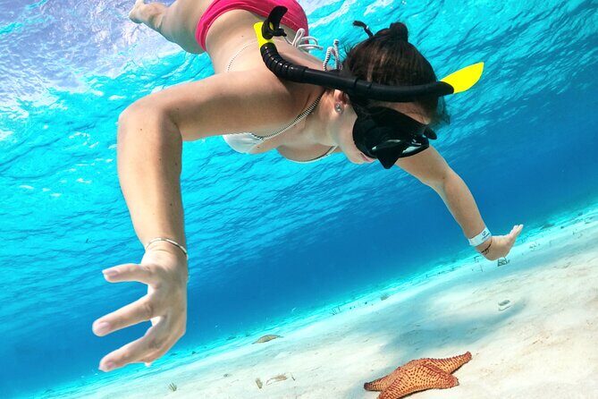 Cozumel Private Snorkeling and Charter Experience - A Private Cozumel Snorkeling Charter for Up to 10 People