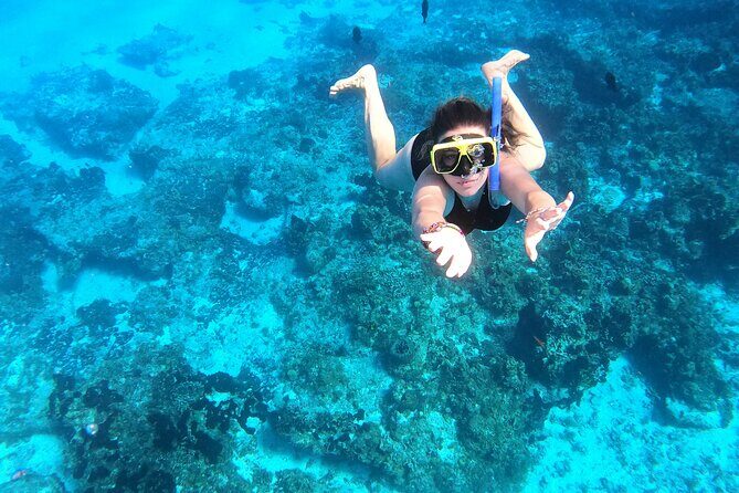 Cozumel Private Snorkeling and Charter Experience - Stop 1: Playa El Cielo and the Chance for Clear-Water Wildlife