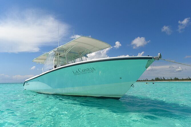 Cozumel Private Snorkeling and Charter Experience - Stop 2: Columbia Reef and Bigger Marine-Life Moments