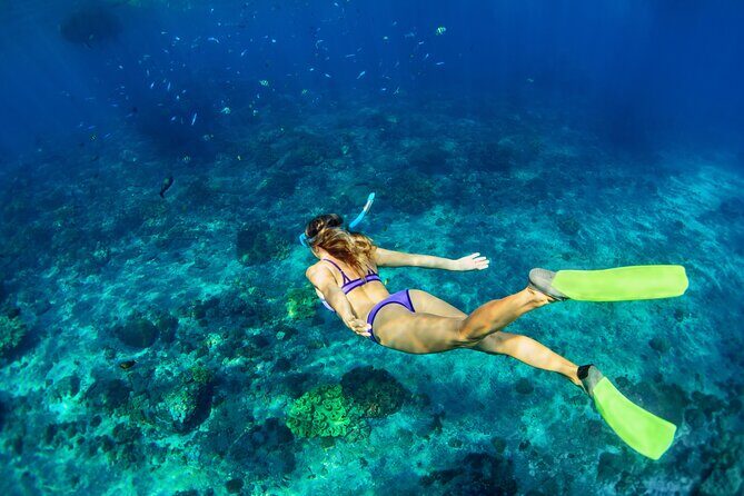 Cozumel Reef Snorkeling Tour - Reef stops, step by step: Playa El Cielo to San Miguel