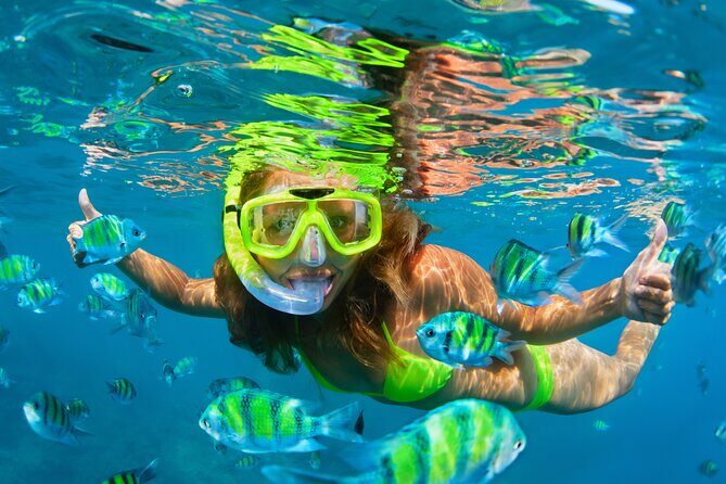Cozumel Reef Snorkeling Tour - My final call: should you book this Cozumel reef snorkeling tour?