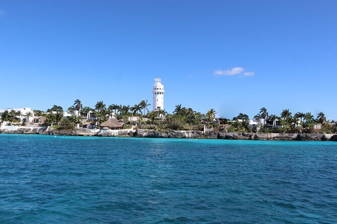 Cozumel Reef Snorkeling Tour - Timing and meet-up: how the day actually runs