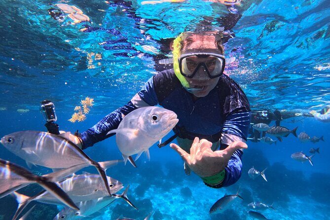 Cozumel Snorkeling Reef Experience with Ceviche and Beers - Key Things I’d Plan Around Before You Go
