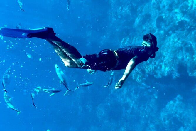 Cozumel Snorkeling Reef Experience with Ceviche and Beers - Stop 2: Palancar Reef for That Classic Cozumel Reef-Watching Feel