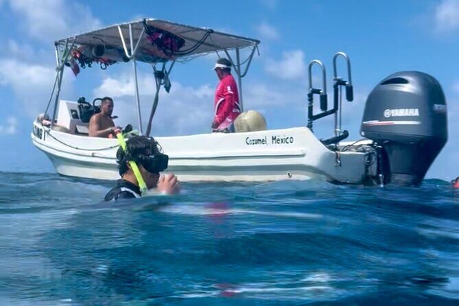 Cozumel Snorkeling Reef Experience with Ceviche and Beers - Reef-Safe Rule You’ll Notice: Sunscreen Is Not Permitted