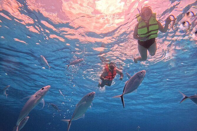 Cozumel: Snorkeling to El Cielo & Cielito with drinks & Snack - Starting at Aqua Safari Pier: Where You’ll Meet and What the Day Logistically Looks Like