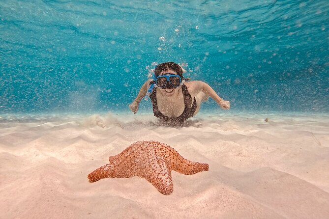 Cozumel: Snorkeling to El Cielo & Cielito with drinks & Snack - El Cielo’s Shallow Sandbar: Starfish, Light Water, and Photo-Ready Vibes