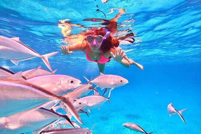 Cozumel: Snorkeling to El Cielo & Cielito with drinks & Snack - Snacks, Lunch, and Drinks: What’s Included and How It Changes the Value