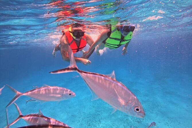 Cozumel: Snorkeling to El Cielo & Cielito with drinks & Snack - What to Watch For: Crowded Boat Space, Photo Pricing, and Fish Variability