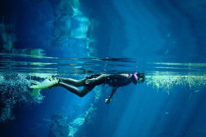 Cozumel Snorkeling Tour from Playa del Carmen - From Miniso to the ferry: timing and where to meet