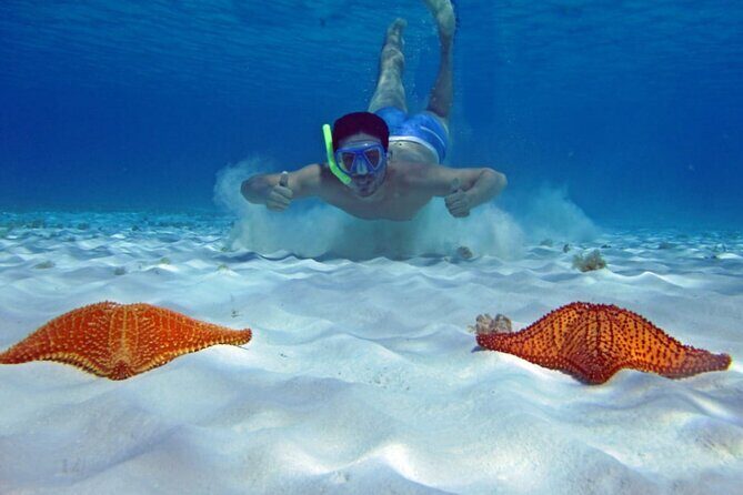 Cozumel Snorkeling Tour to Palancar Reef and El Cielo - Meeting at Snorkel in the Sky and Staying on Schedule