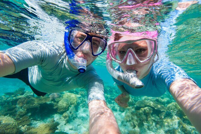 Cozumel Snorkeling Tour to Palancar Reef and El Cielo - Stop 1: Palancar Reef Coral Park, Fish, and Possible Turtle or Ray