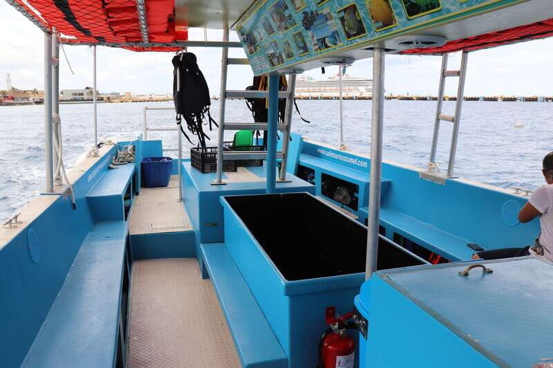 Cozumel: VIP Glass Bottom Boat & Snorkeling 3 Reefs Tour - Key Things You’ll Notice Right Away