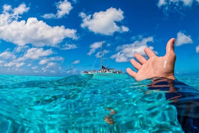 Cozumel's Reefs in El Cielo, Palancar and Columbia Guided Tour - Price and logistics: what you’re actually paying for