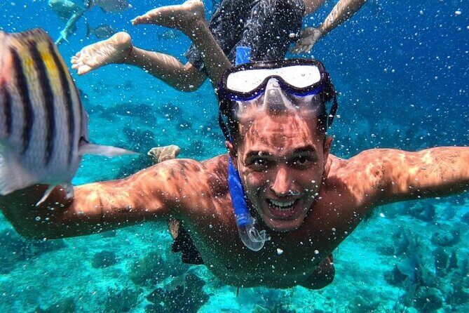 Cozumel's Reefs in El Cielo, Palancar and Columbia Guided Tour - Stop 1: Cozumel (the short transfer that sets your day up)