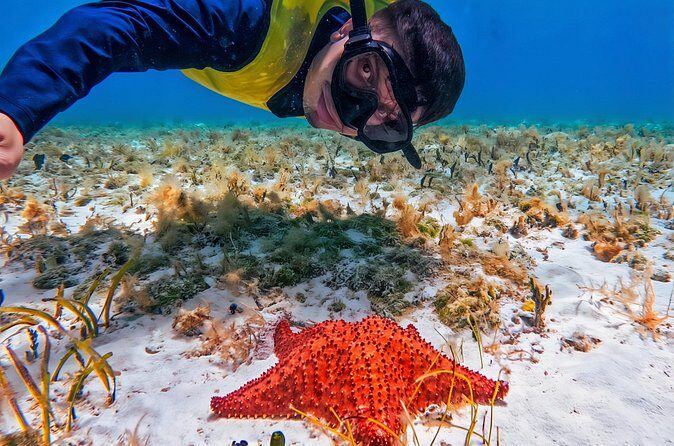 Cozumel's Reefs in El Cielo, Palancar and Columbia Guided Tour - Columbia Reef: the deepest stop and the big first impression
