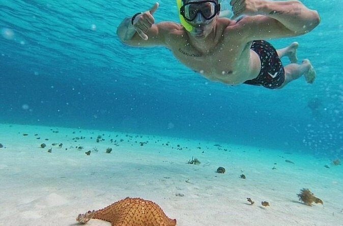 Cozumel's Reefs in El Cielo, Palancar and Columbia Guided Tour - El Cielo Reef: starfish sandbank and the shallow-water bonus