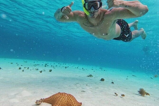 Cozumel's Reefs in El Cielo, Palancar and Columbia Guided Tour - El Cielito Beach: where the water depth is about 1.2 meters