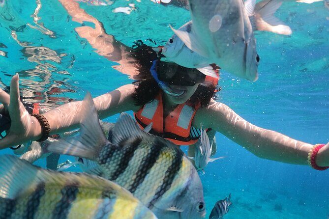 Crystal Boat Tour with Snorkeling and Drinks in Cozumel - Clear-boat snorkeling in Cozumel: what makes this one work