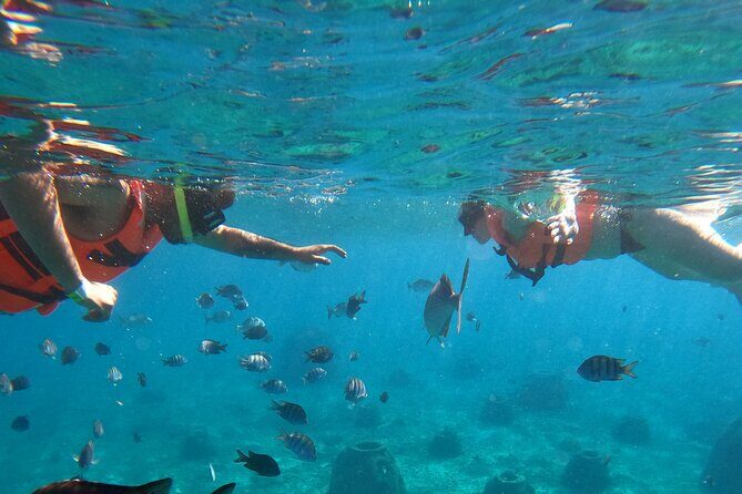 Crystal Boat Tour with Snorkeling and Drinks in Cozumel - Where the meeting point matters: Av. Rafael E. Melgar 221