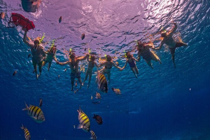 Crystal Boat Trip and Snorkeling Tour from Cozumel - Meeting Point at Nudo Marineri: How to Arrive Without Stress