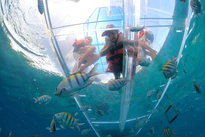 Discover Cozumel in a Transparent Boat! - Key Highlights You Should Know Before You Go