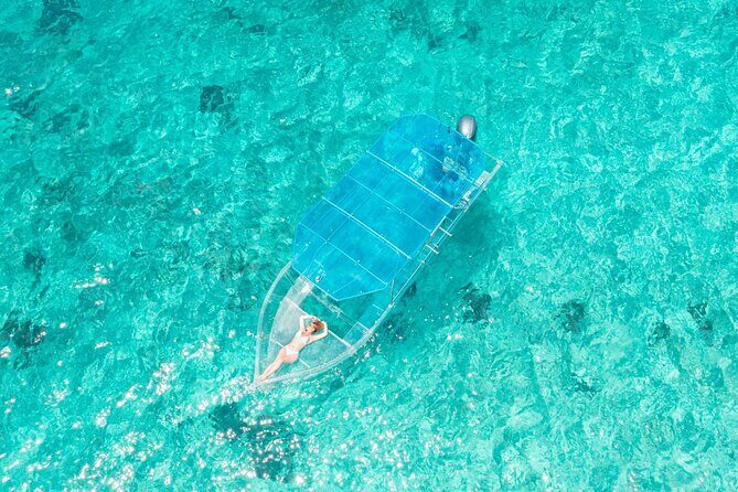 Discover Cozumel in a Transparent Boat! - Transparent Boat to Punta Norte: The Main Event