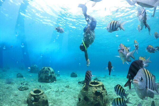 Discover Cozumel in a Transparent Boat! - Who Should Book This Tour (And Who Should Skip It)