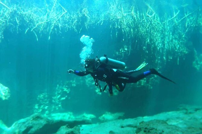 Discover Scuba Diving at Casa Cenote - Water time up to 7m/21ft: what to expect during the guided session