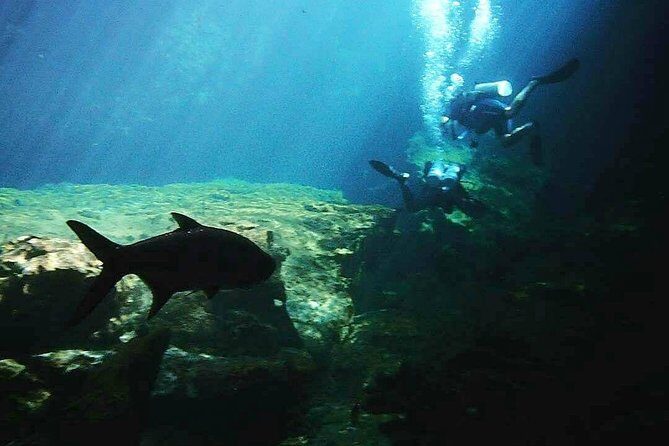 Discover Scuba Diving at Casa Cenote - The role of Mario and Flying Fish Tulum in a calm experience