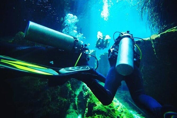 Discover Scuba Diving at Casa Cenote - Discover Scuba training: theory, equipment, then safety skills