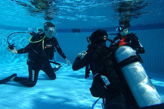 Discover Scuba Diving Course in Playa del Carmen with Two Coral Reef Dives - Morning Training (8:00–11:00): Safety, Gear, and Controlled Breathing