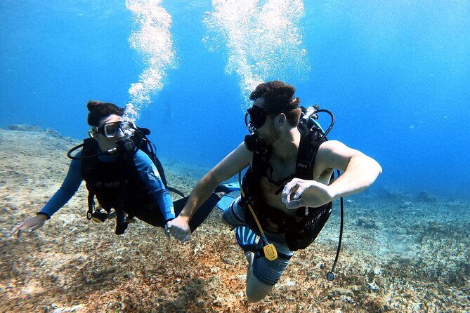 Discover Scuba Diving in Cozumel - Key Highlights You’ll Feel During This 2–3 Hour Session