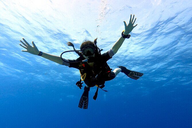 Discover Scuba Diving in Cozumel - Underwater Exploration in Cozumel: What It Feels Like and Why It’s Worth It