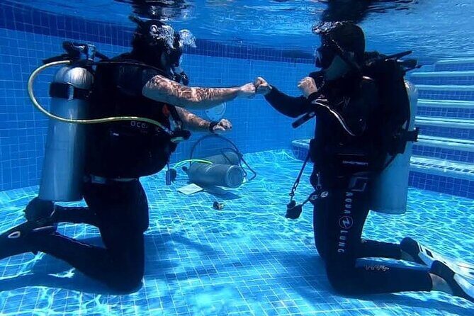 Discover Scuba Diving in Cozumel - Meeting Point Details and Timing You Can Plan Around