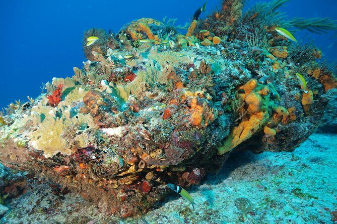 Discover Scuba Diving PADI in Playa del Carmen including underwater video - Playa del Carmen to Diversland: Pickup That Saves Your Morning