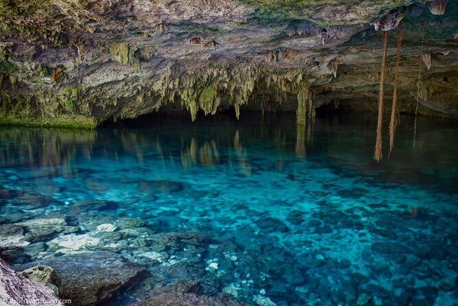 Discovering Breathtaking Cenotes in Tulum - Timing Considerations: What to Do With That One Scheduling Complaint