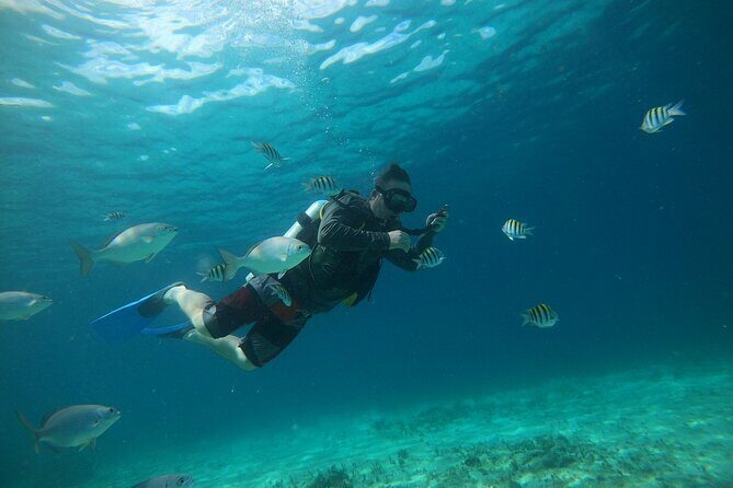 Discovering Diving in Chankanaab Park - Key Highlights You’ll Care About