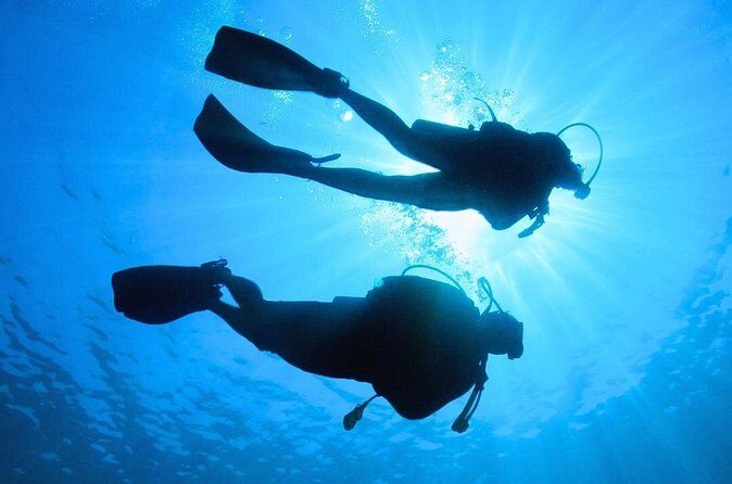 Discovering Diving in Chankanaab Park - After the SCUBA Session: Snorkeling Gear and Full Park Time