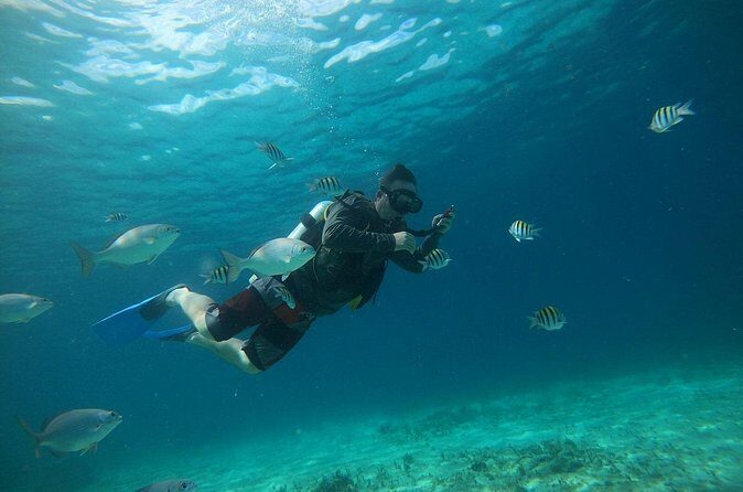 Discovering Diving in Chankanaab Park - The Team Experience: Patient Instruction and Real Photo Moments