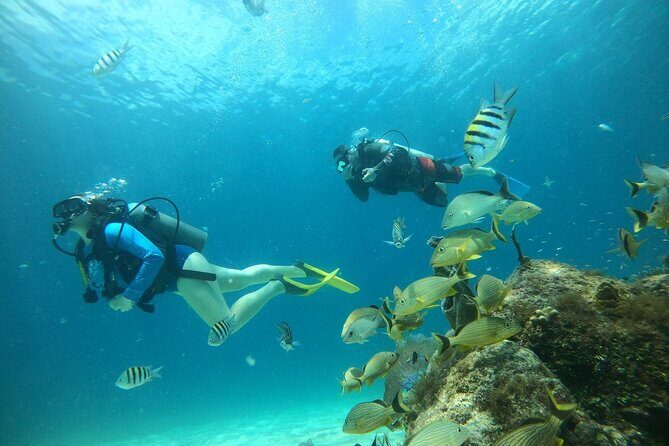 Discovering Diving in Chankanaab Park - From 20-Minute Basics to an Underwater Hour (What the Flow Really Means)