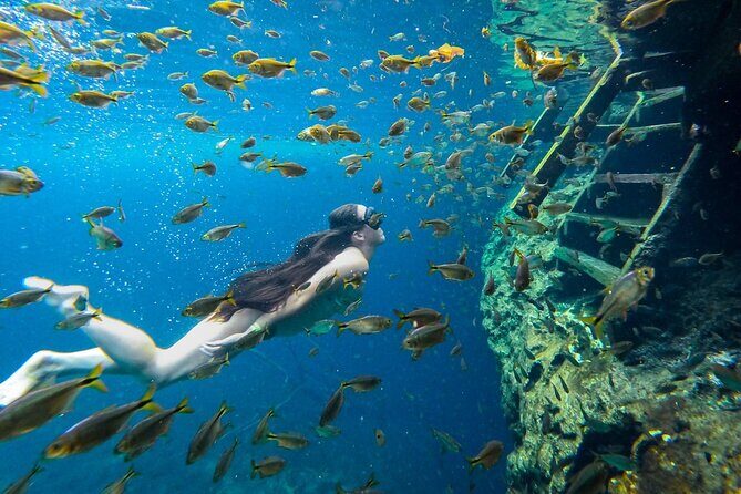 Dive into Tulum: Tour 3 Cenotes, from Riviera Maya - Sombra Cenote: The Underground Mysterious Stop (and One Expectation Check)