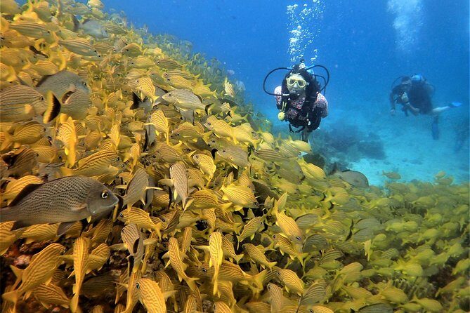 Diving in Cancun Underwater Museum of Art - Gear, Certification, and Health Rules (So You Can Actually Go)