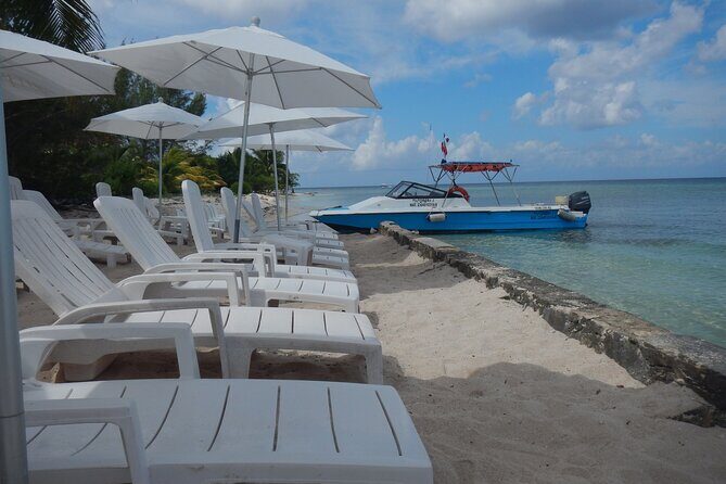Dune Buggy Adventure in Cozumel with Snorkel and Mexican Lunch - Tequila Tasting: Educational, Local, and With a Reality Check on Shopping