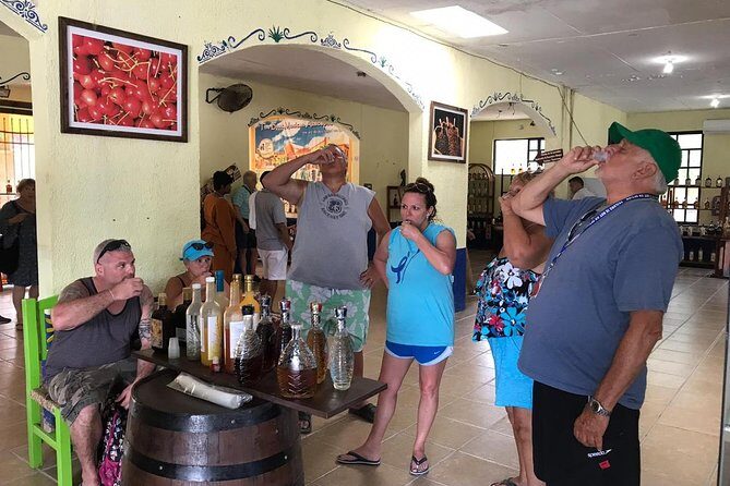 Dune Buggy Adventure, Snorkel, Mayan Town, East Coast, Tequila and City Tour - Transportation reality: the dune buggy theme may shift, and the road has little payoff