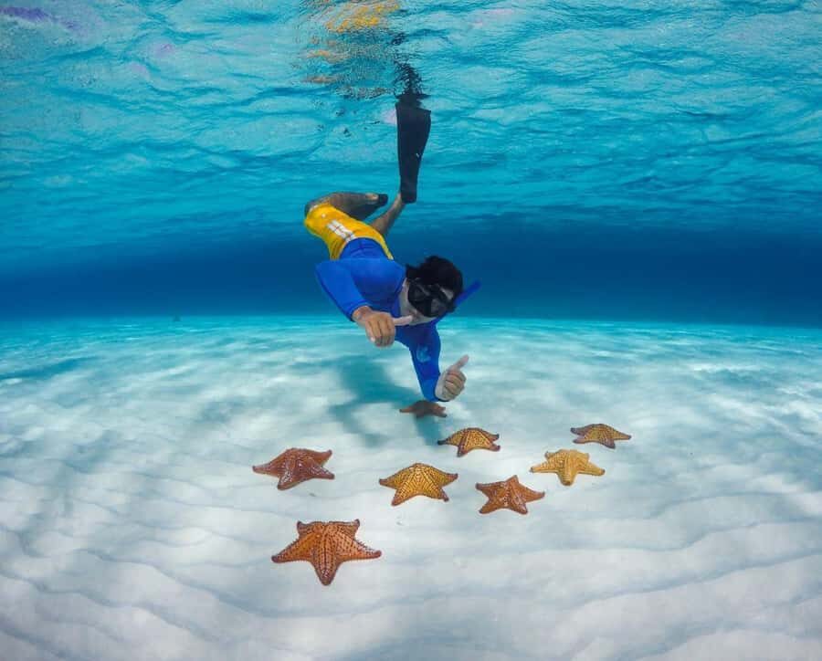 El Cielo and El Cielito in Cozumel with Beach Club, Food, and Open Bar - Catamaran + reefs + starfish: the Cozumel hit list