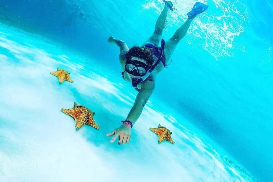El Cielo and El Cielito in Cozumel with Beach Club, Food, and Open Bar - El Cielo: the starfish shallows (and the photo timing)
