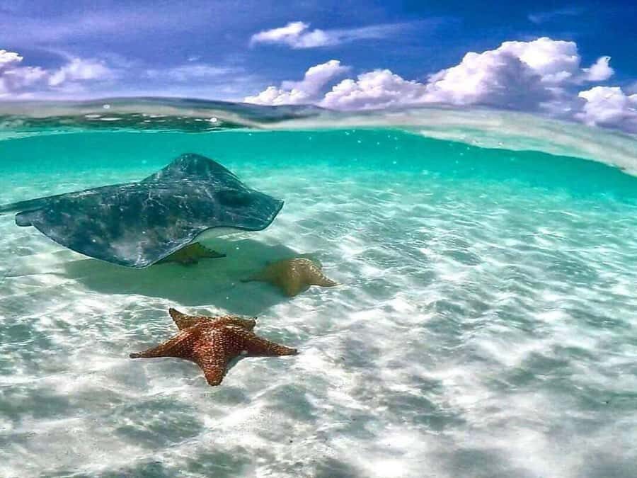 El Cielo and El Cielito in Cozumel with Beach Club, Food, and Open Bar - Bahía Beach Club: lunch + pool space + extra options