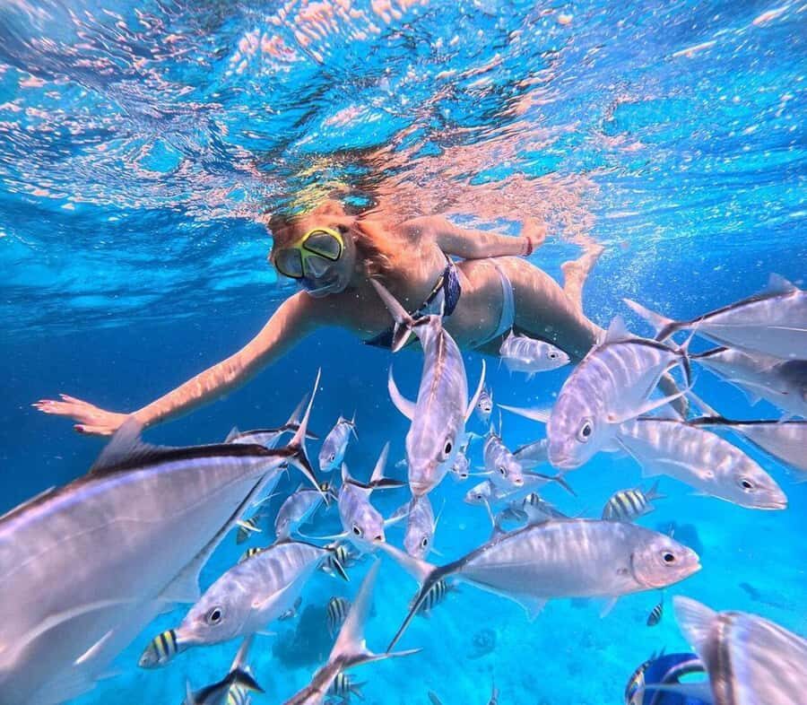 El Cielo and El Cielito in Cozumel with Beach Club, Food, and Open Bar - Who should book this tour (and who should skip it)